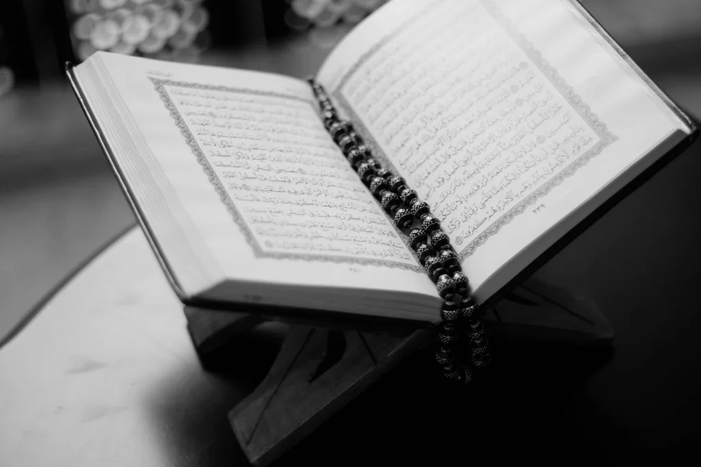 Kur'an-ı Kerim'i Anlamanın Temel Rehberi: Mealler ve Yorumlar Işığında