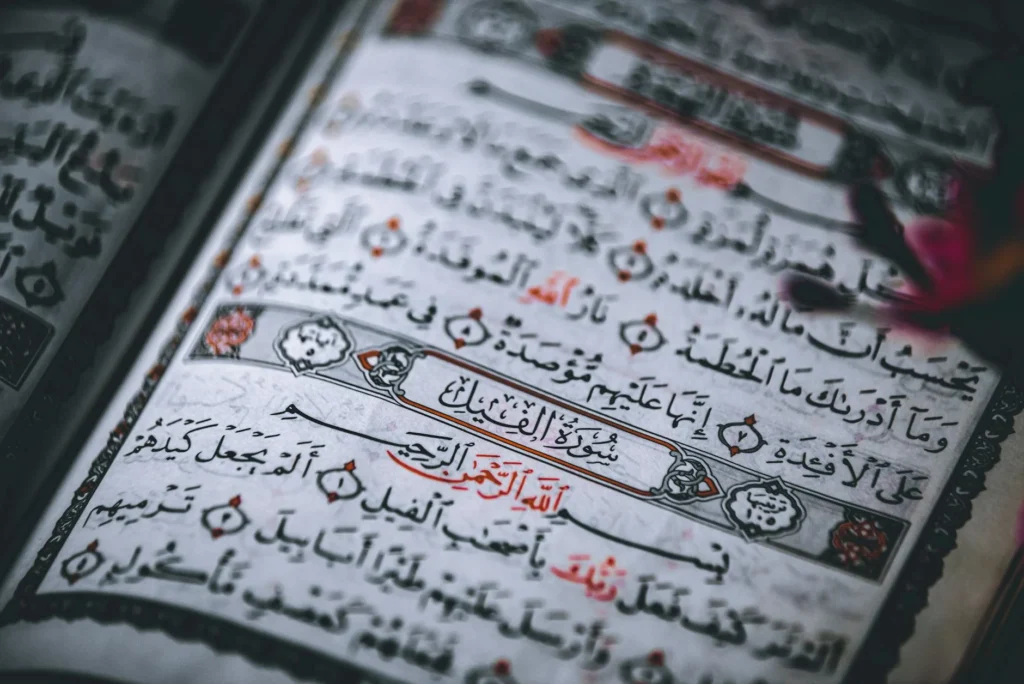 Kur'anı Kerim'i Anlamanın Yolları: Tefsir ve Meal Okumaları